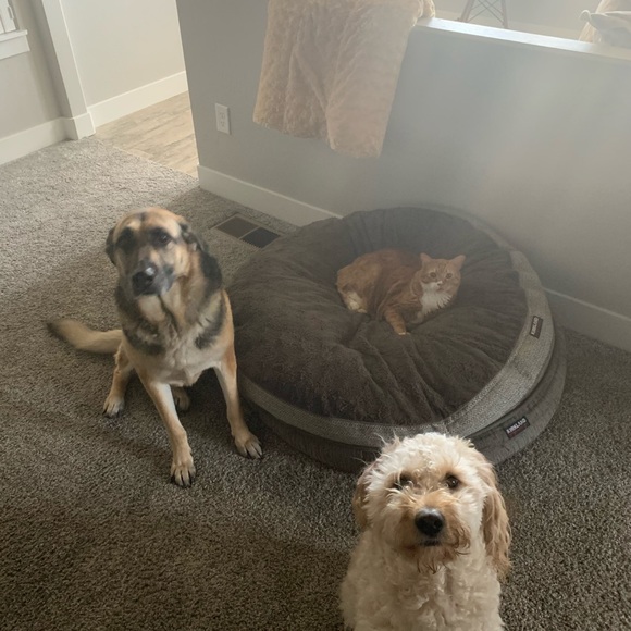 Meet your Posher, Alex - Picture 1 of 2